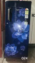 Whirlpool Fridge