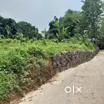 30 cents of land for sale