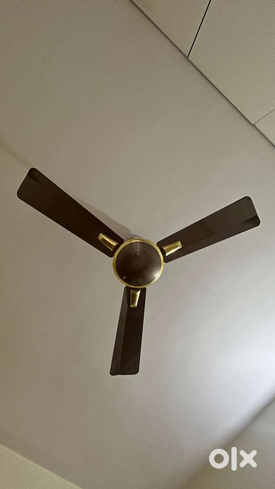 Branded Ceiling Fans for Sale – Excellent Condition!