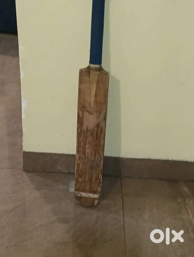 Light weight kashmir villo bat signature by Rajat Patidar official