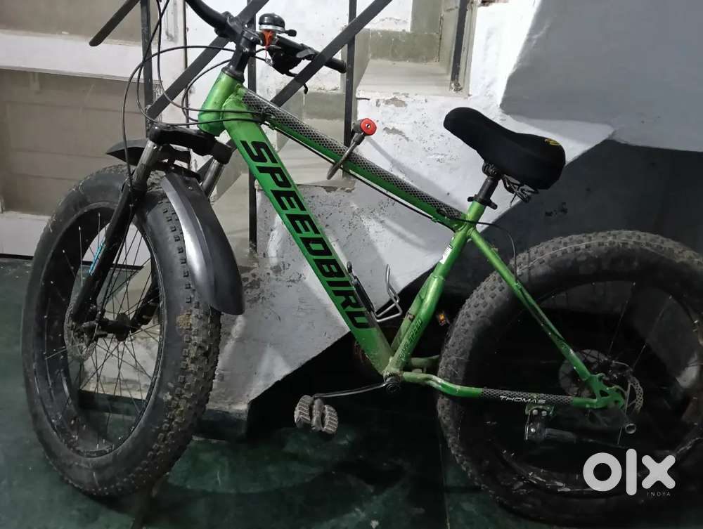 Speedbird fat bike, full size, 10 gear, front suspension