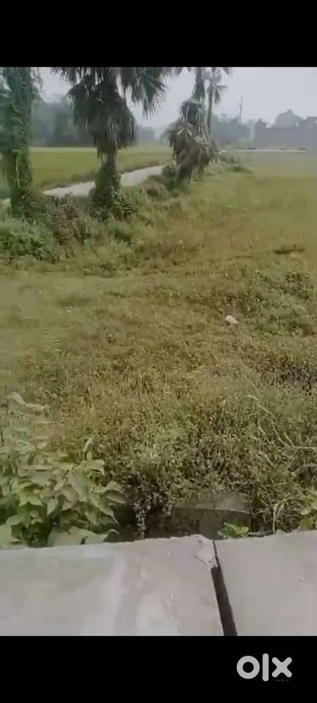 Fully Commercial property 20 khatta on Bihta Sarmera highway near