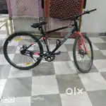 Raleigh Brand Bicycle