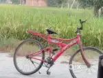 Polo by cycle