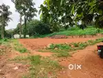 കൂത്രപ്പള്ളി 6.5 cent plot.1.85 .lakh. cent.