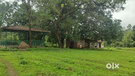 8.8 acre farm land at Wada.