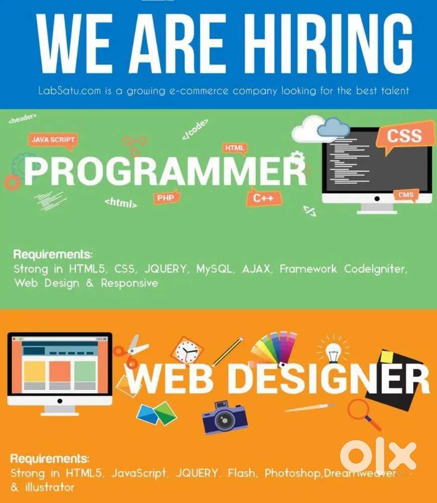 IT Software developer