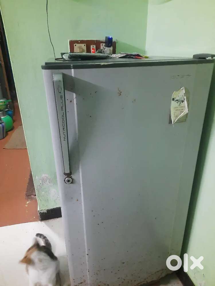 Nutricool Fridge