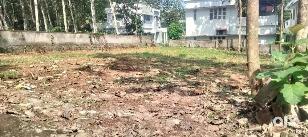 265000 per cent, Total 10 cent plot