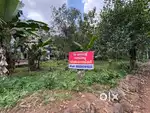 19 Cents of Plot for sale near Vetoor Temple Junction(Road Side)