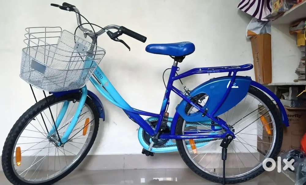 Lady Bicycle