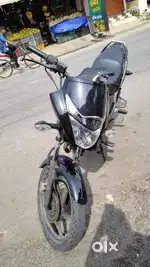 Black dindigul
