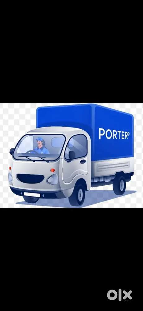 Tata ace tempo Driver