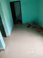 Bachelors 1 bhk edapally pathadipalam manakattu line