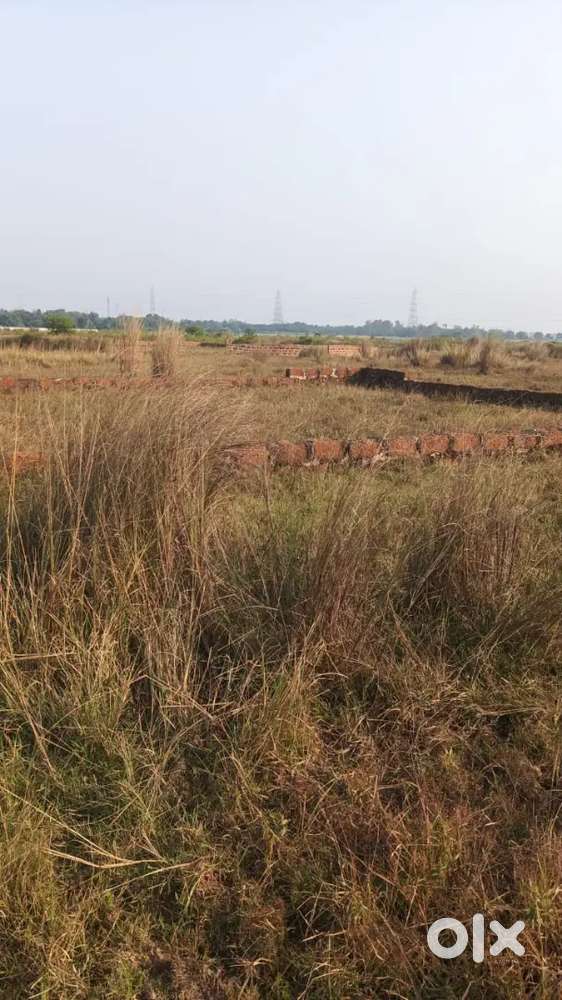 A plot for sell dauliapatna mouja