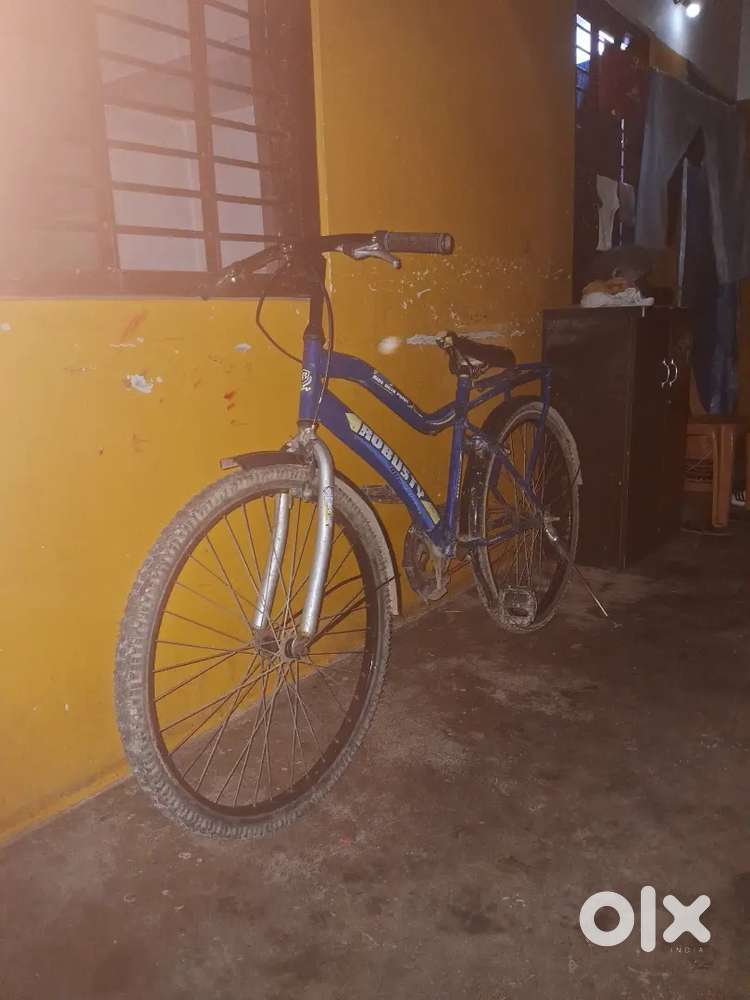 Robusty cycle