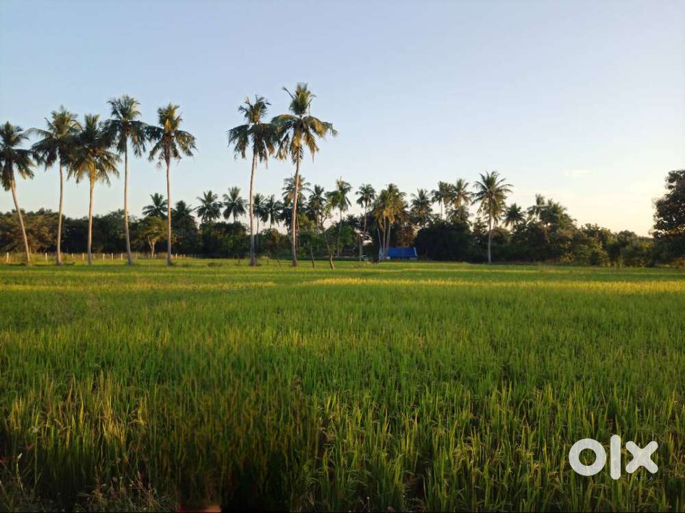 Agricultural Land @ Peruvalanallur