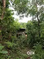 Land for sale 1.5 akker