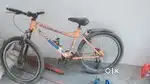 Avon cycle