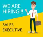 Hiring Sales Executive from B2C Education Domain