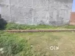 Plot singha devi mandir k samne