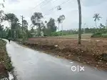 PALLIKKARA MORAKKALA PAZHAMTHOTTAM 10/15 CENTS INFOPARK KAKKANAD 9 KM