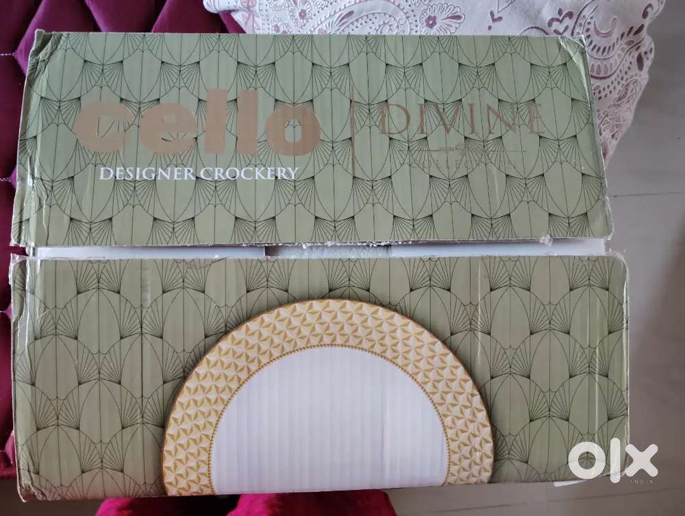 Dinner set new with packing