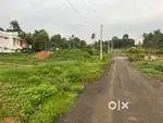 മാമ്മൂട്ടിൽ ഹൗസ് പ്ലോട്ടുകൾ