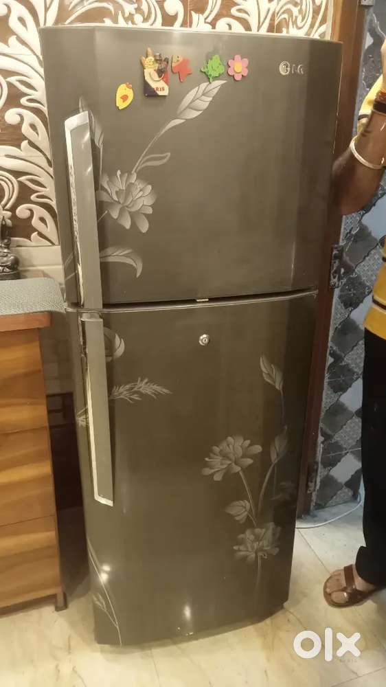 Lg double door fridge