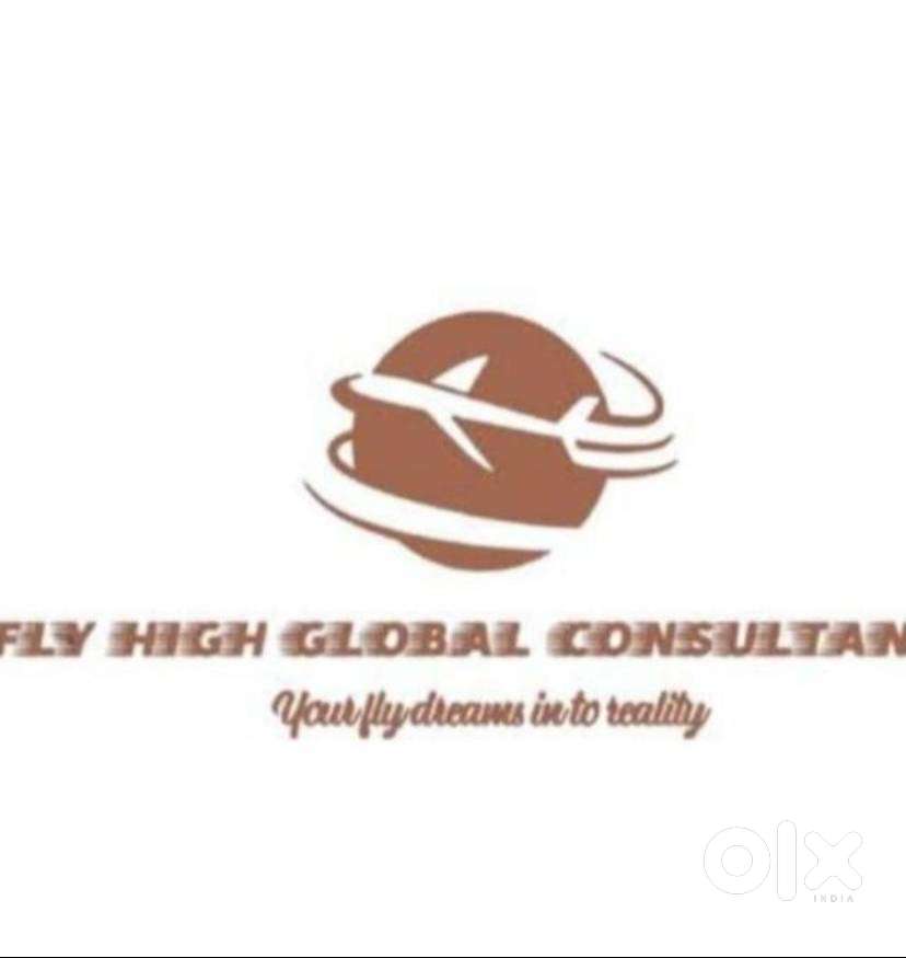 Office cum sales consultant