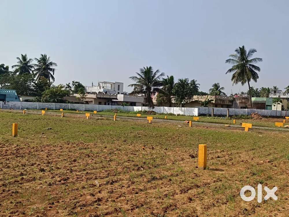 Don't Miss This Chance to Became a Rich