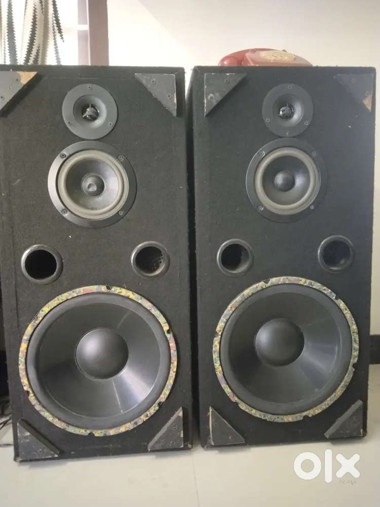 Dainty woofer and zipper midrange