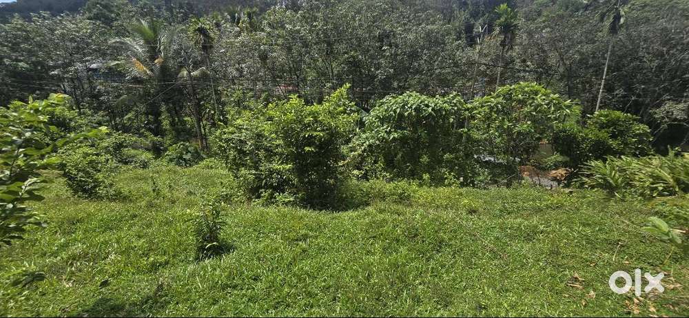 സ്ഥലം വിൽപ്പനയ്ക്ക്  അങ്ങമൂഴി, പത്തനംതിട്ട