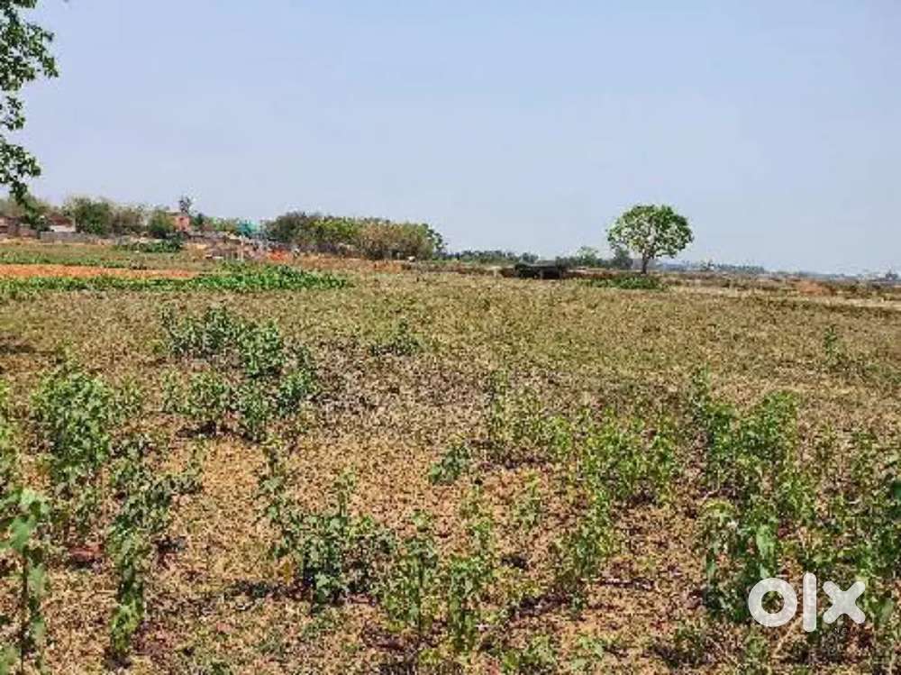 5.06 Acres of Agricultural Land Urgent Sale