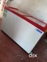 Blue Star Deep Freezer