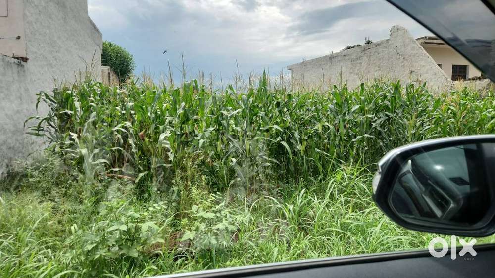 138 Gaj Plot for Sale  Urgent Deal