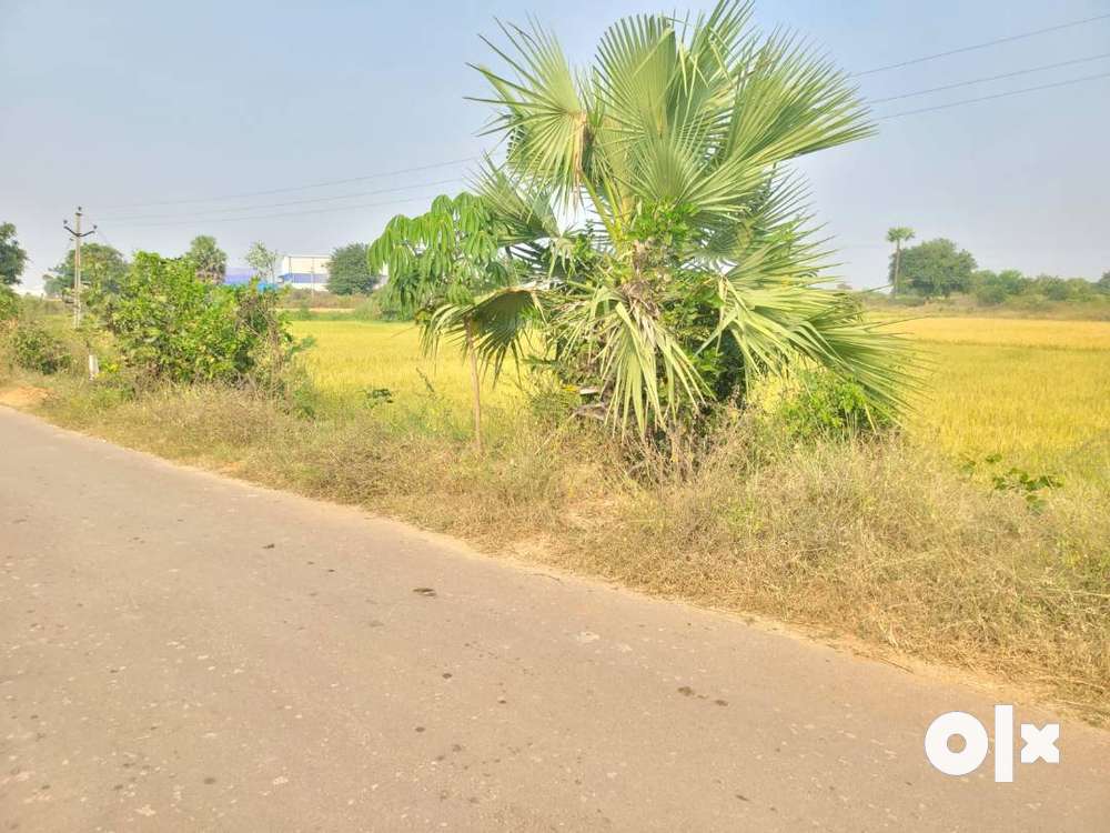 20 Gunta Agri land for sale,BT Road BIT,120 feets Road Facing,24 lakh