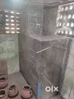 Birds Cage