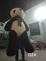 Teddy bear
