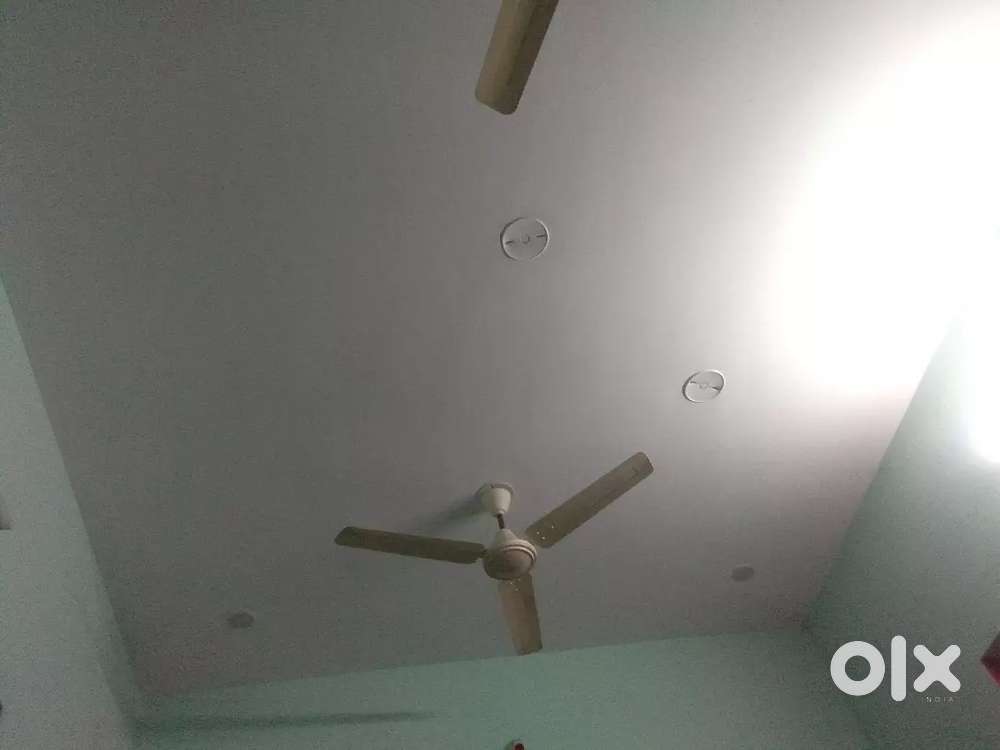 Ceiling fan 5no available