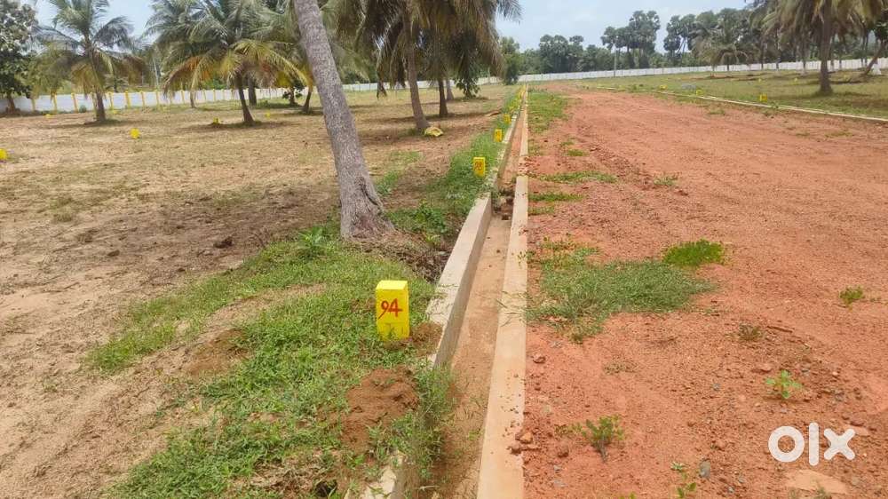 Open plots near Bhogapuram ₹ 7500 sq yd
