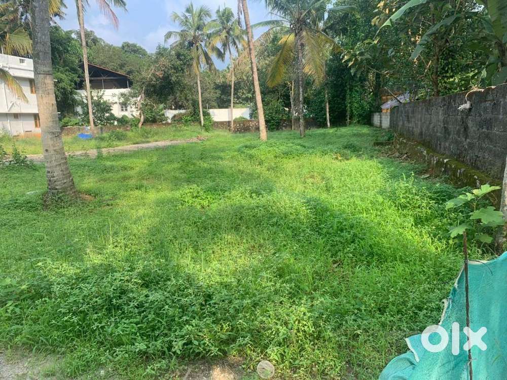 (ID-B216841) Residential 5 CENT  Land for Sale at Kazhakuttam