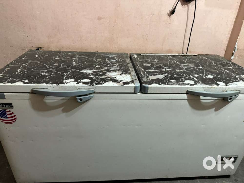 Dairy items for sale in Parasram Nagar Bti, fridge,counter all items