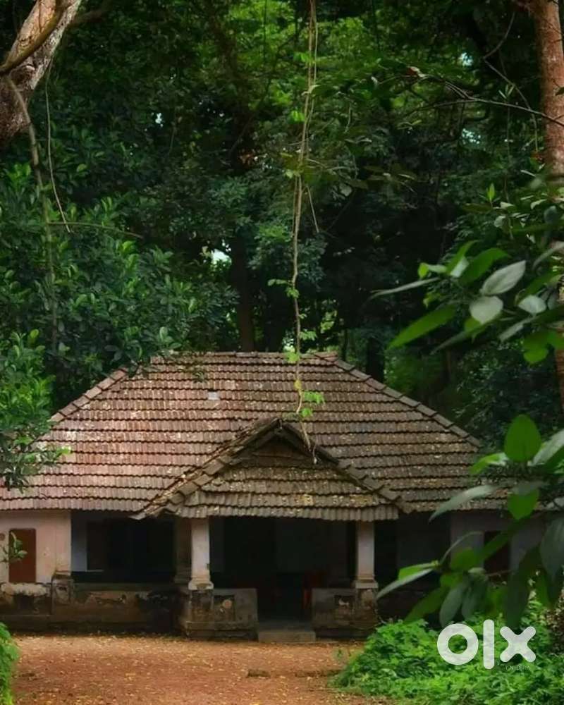 Housemaid /വീട്ടു ജോലി സ്ത്രീകൾ