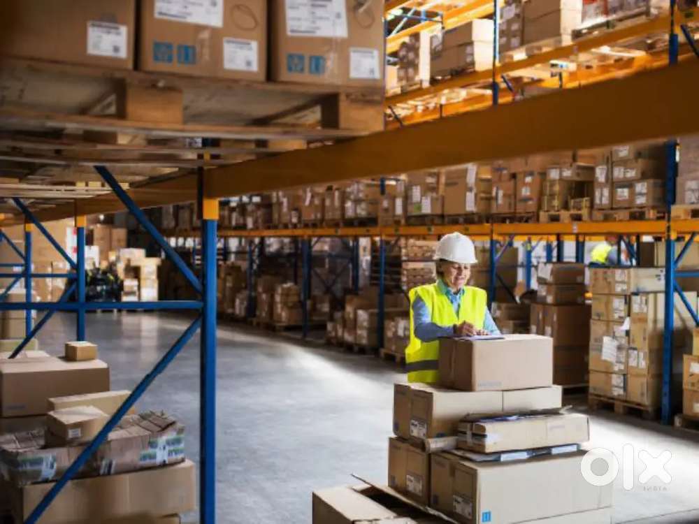 LOOKING FOR FRESHERS AND EXPERIENCED WAREHOUSE EXECUTIVES
