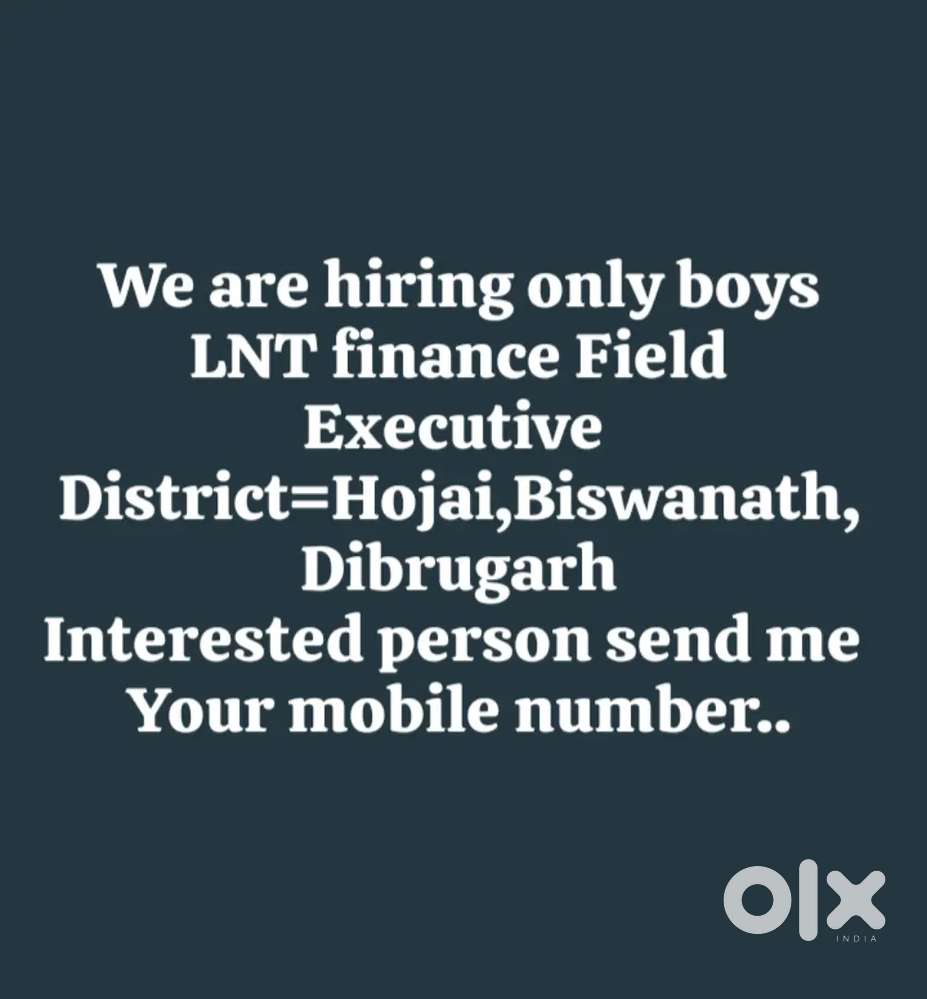 We are hiring only for boys LNT finance Field Executive