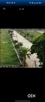 Need money urgent sale
