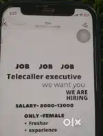 Hiring Telecaller for cctv camera sales only girl