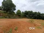 പുതുപ്പള്ളി - കാഞ്ഞിരത്തിൻമൂട് - 6 സെൻ്റ്  കൊടുക്കും