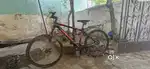 Schnell Red cycle